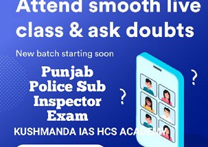 punjab police sub inspector